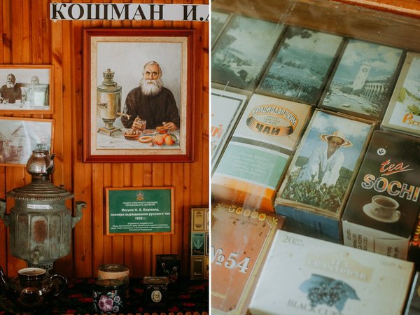 Чайные плантации Солох-Аула и долина Шахе + фотосессия - фото 3