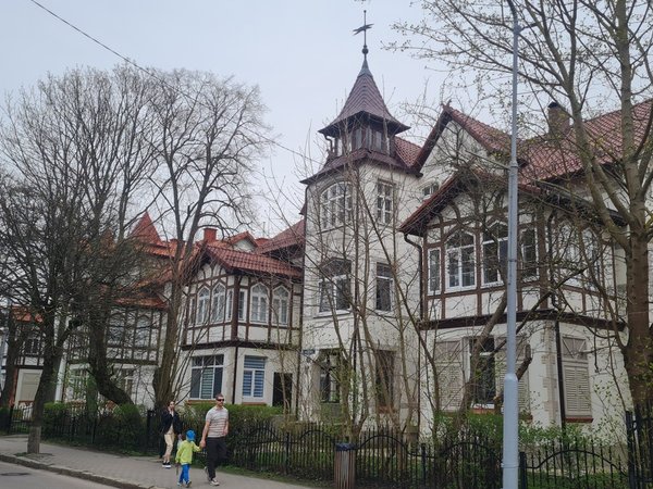 Кошачьи тропы и морские ветра Зеленоградска - фото 4
