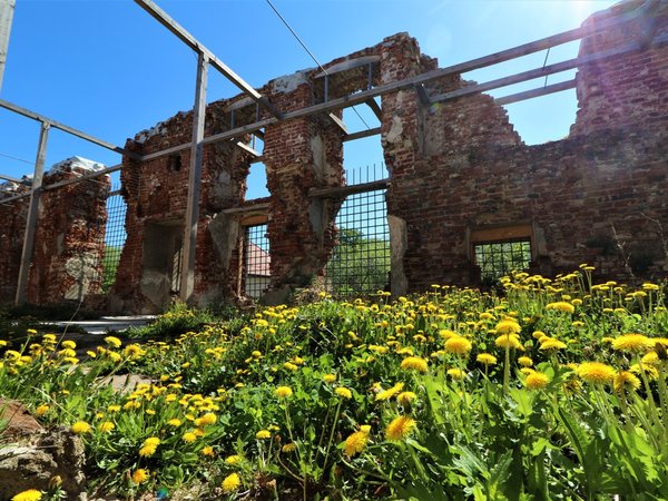 Легендарные замки Прейсиш-Эйлау и Бранденбург - фото 3