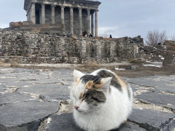 Рим, Персия и армянский престол: маршрут царя Папа - фото 3