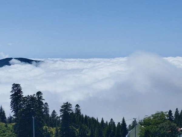 Пикник над облаками и закат в Гомис Мта (всё включено) - фото 4