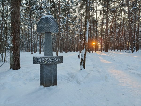Викинги в Смоленске: следы эпохи в Гнёздове - фото 1