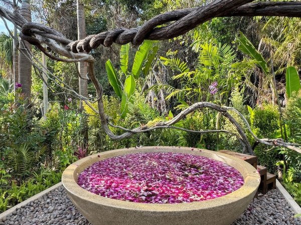 Mantra Spa, Белоснежный храм, слоны и пляж с самолётами — из Пхукета - фото 2