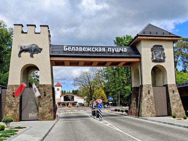 В Беловежскую пущу из Минска: от вековых деревьев до резиденции Деда Мороза - фото 1
