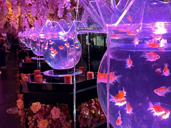 Лайт Токио: город в комфортном темпе - фото 4