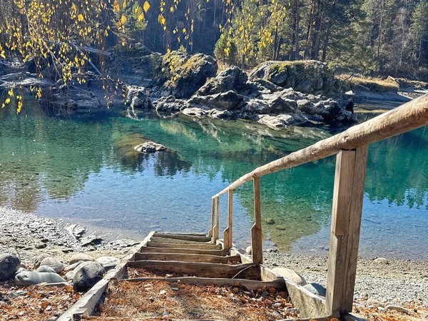 Голубые глаза Катуни — из Манжерока (в группе) - фото 1