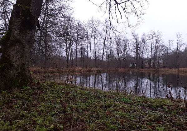Экскурсия по рекам и каналам Санкт-Петербурга - фото 2