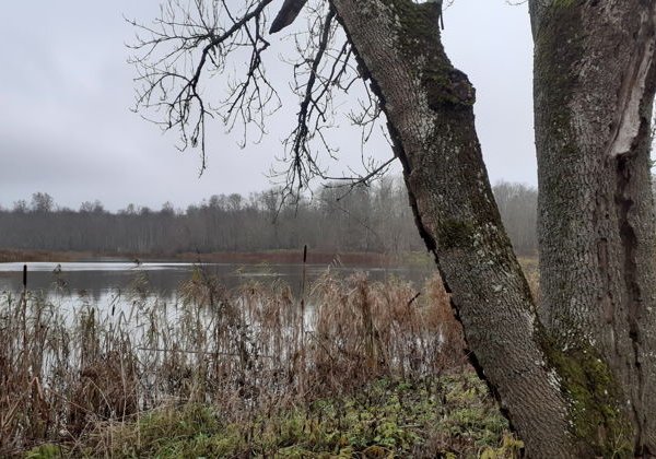 Экскурсия по рекам и каналам Санкт-Петербурга - фото 3