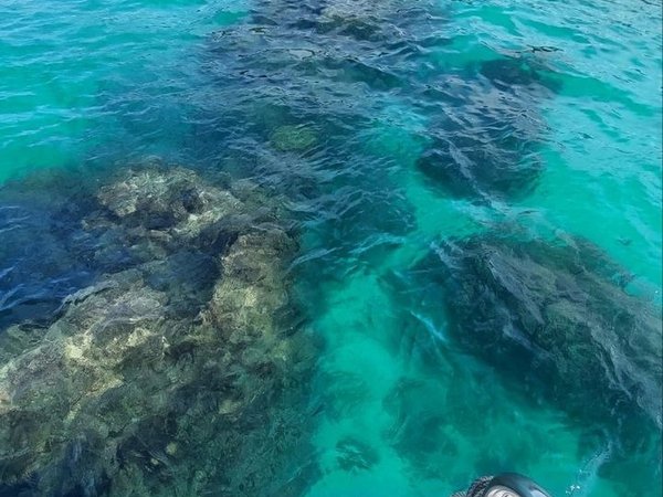 Южные острова Нячанга на катамаране: снорклинг и обед на Винпёрл - фото 2