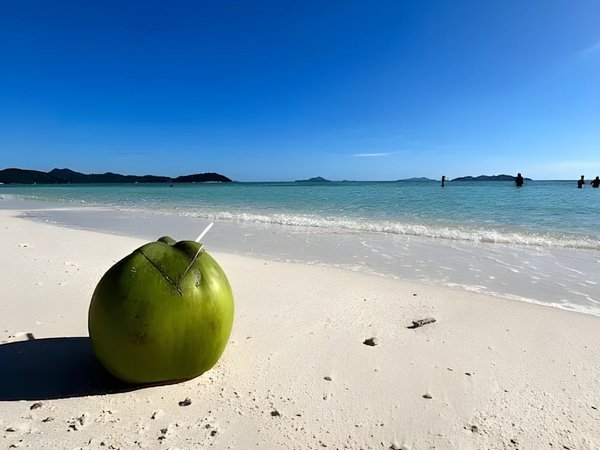 Island Escapade: лучшие острова Корона за один день (пикник включён) - фото 3