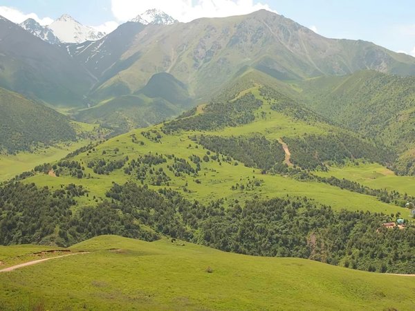 Из Бишкека в горы на весь день: Ала-Арча, Кашка-Суу и Аламединское ущелье - фото 3