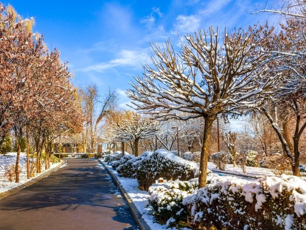 Новогодние краски Узбекистана: Ташкент, Самарканд и Бухара - фото 4