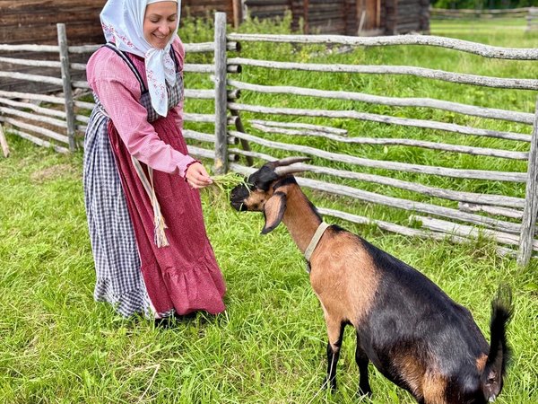 От сливок до масла: секреты вологодского ремесла в музее «Семёнково» - фото 4