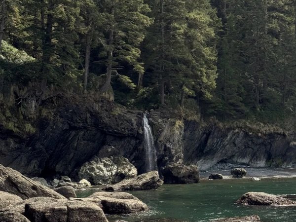 Трансфер в эко-парк «Долина водопадов» из Петрозаводска (с остановками)