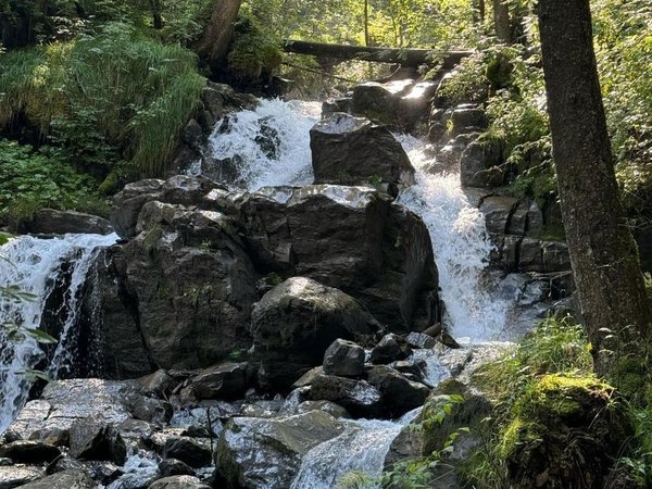 Трансфер в эко-парк «Долина водопадов» из Петрозаводска (с остановками) - фото 4