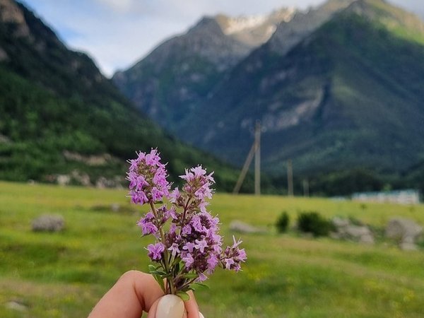 Кабардино-Балкария — успеть максимум: Чегем, Эльбрус, Гижгит и Поляна Нарзанов - фото 4