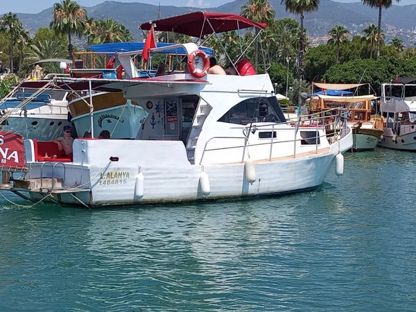 На рыбалку в Аланье: море, удочка и свежий улов - фото 4