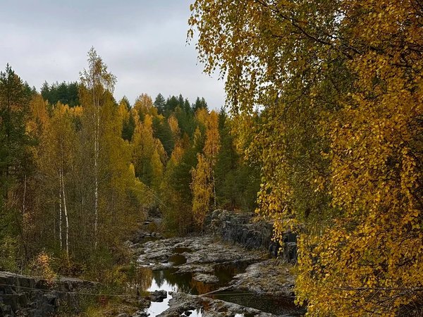 Из Петрозаводска по Малому кольцу Карелии — к Сампо, Гирвасу и Кивачу - фото 2