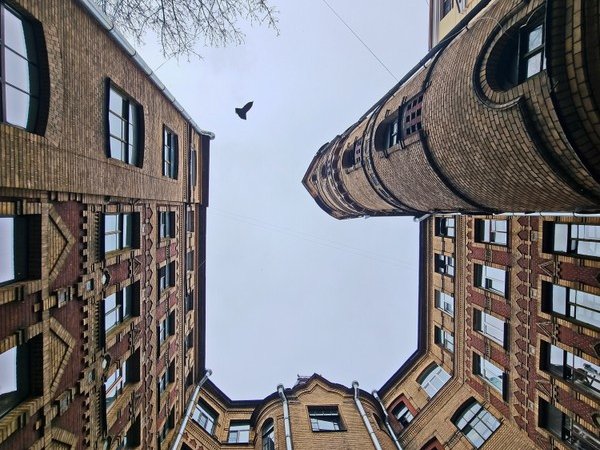 Выше крыши: дворы-колодцы, арт-искусство, парадные и смотровая в Петербурге