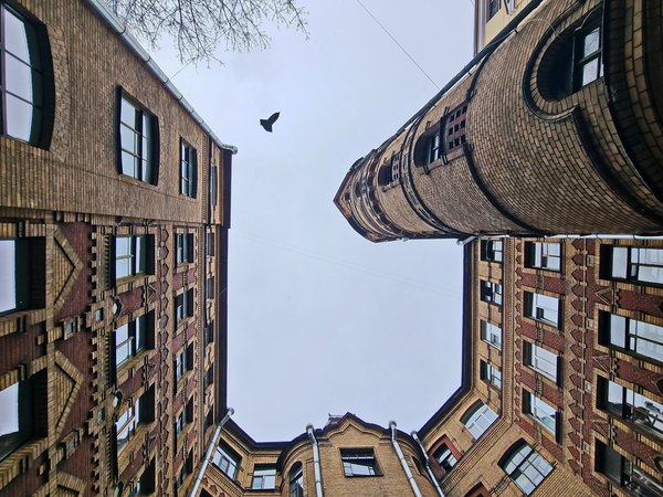 Выше крыши: дворы-колодцы, арт-искусство, парадные и смотровая в Петербурге - фото 2