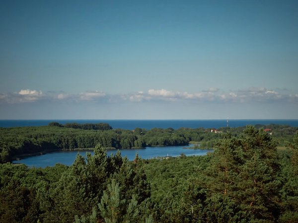 Наперегонки с ветром: как меняется Куршская коса (из Зеленоградска) - фото 4