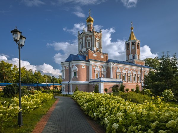 Едем в сказочную Солотчу из Рязани - фото 4