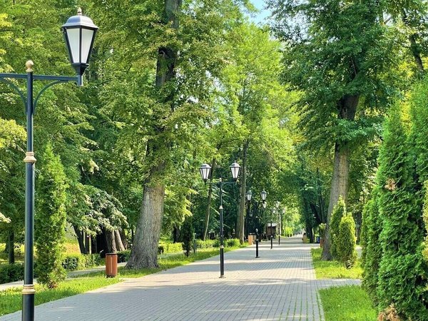 Со вкусом вина и ароматом лаванды: в Липецкую и Тульскую области из Москвы - фото 4