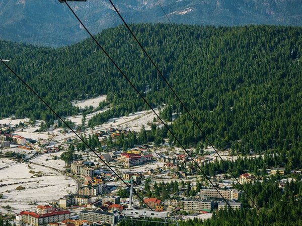 Из Тбилиси — к источникам Боржоми и горам Бакуриани - фото 1