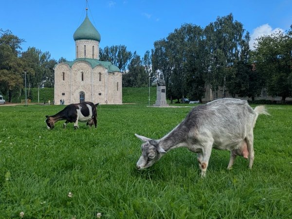 Первый раз в Переславле-Залесском: экспресс-знакомство с городом - фото 1