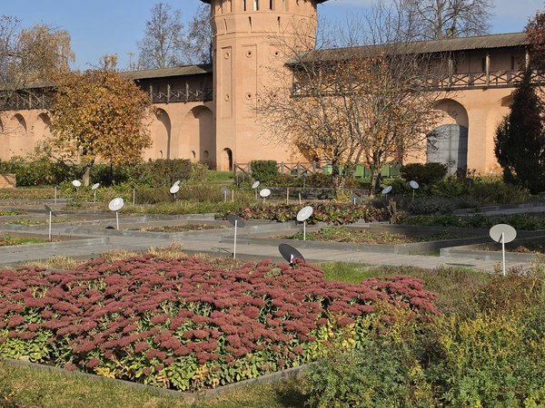 Кремль Суздаля и купеческое чаепитие - фото 2