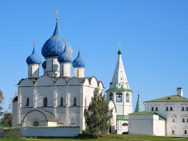 Кремль Суздаля и купеческое чаепитие - фото 2