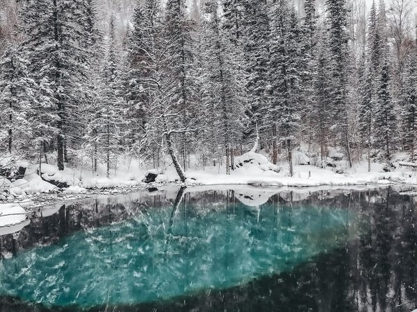 Ловим праздничное настроение на Алтае: природа, культура и знаковые локации края - фото 2