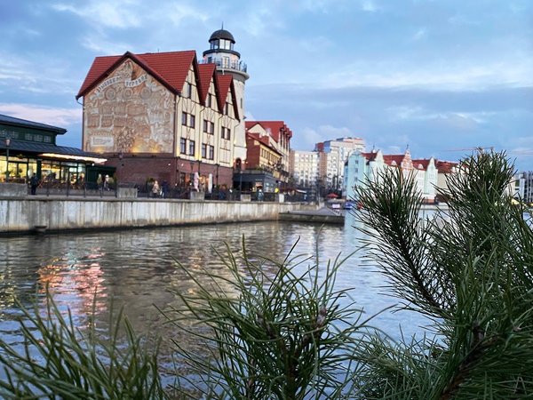Новогодний калейдоскоп Балтийского побережья: музеи, города и сыроварня - фото 3
