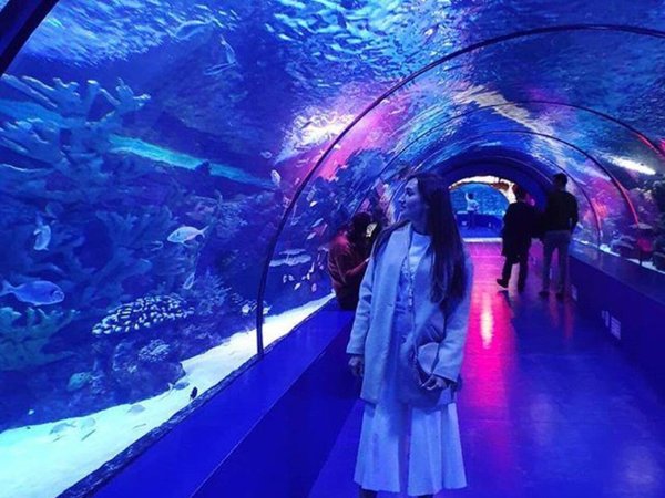 «Анталья Аквариум»: путешествие в подводный мир (билет + трансфер из Кемера) - фото 3