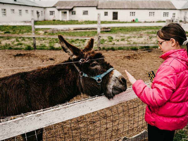 Введенская пустынь и вкусы Владимирской земли — с дегустацией сыров и пряников - фото 4