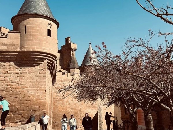 Прогулка по Памплоне и замок королей Наварры в Олите - фото 4