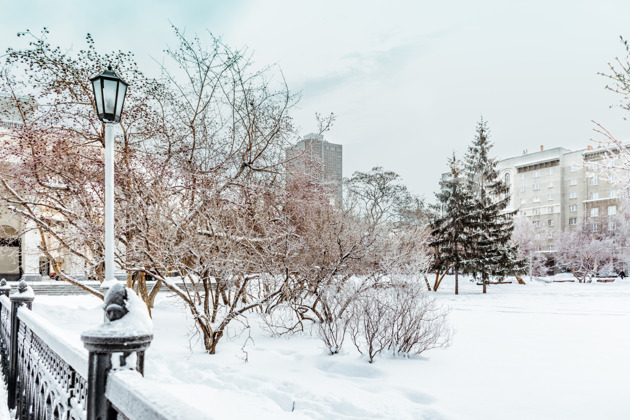 Фото - экскурсия: Покорись очарованию Новосибирска за рулем автомобиля