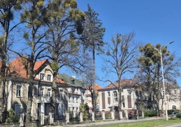 Амалиенау: аудиоэкскурсия по историческому району Калининграда - фото 2
