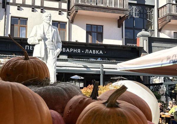 Прогулка по городу котиков: Зеленоградск за 2 часа - фото 1