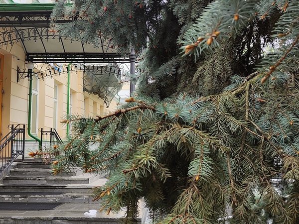 Площадь 1905 года: история по кругу - фото 4
