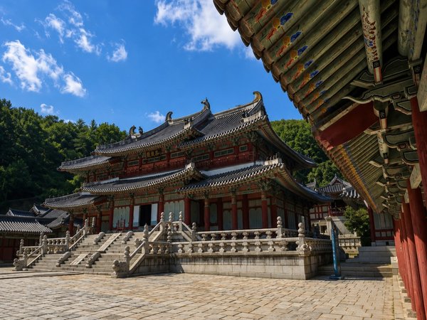 Из Сеула в Йонин: кинодеревня «Тэчжангым» и парк Everland - фото 3