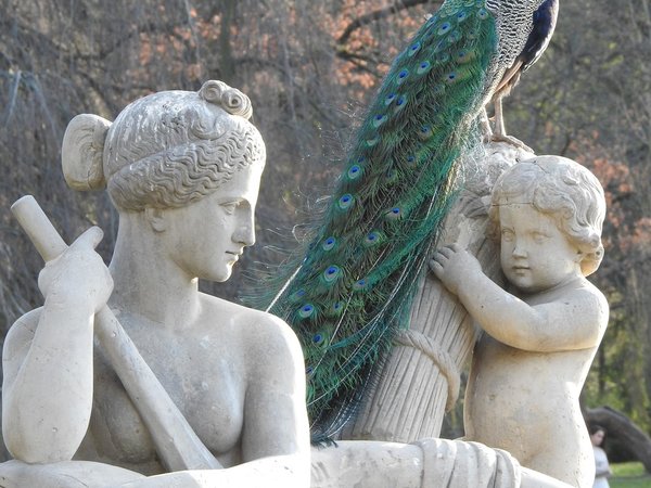 Королевские Лазенки в Варшаве: дворец, театр и сады Станислава Августа - фото 2