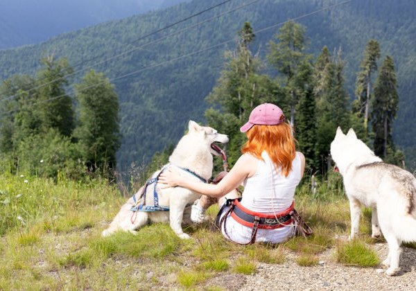 День в горах с хаски: приключение на плато Псехако - фото 2