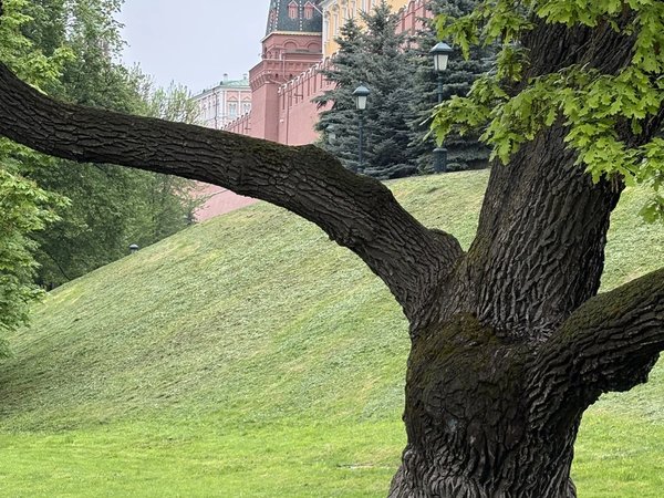 Красная площадь и Александровский сад: архитектура и скрытые детали - фото 2