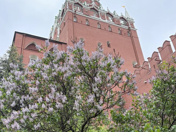 Красная площадь и Александровский сад: архитектура и скрытые детали - фото 4