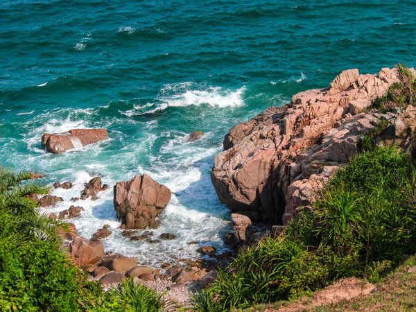 Другой Вьетнам: капибары, инопланетные виды и море (всё включено) - фото 1