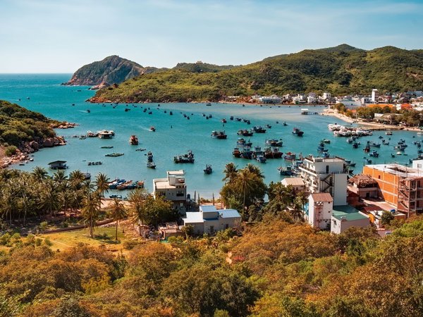 Другой Вьетнам: капибары, инопланетные виды и море (всё включено) - фото 4