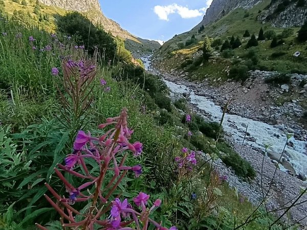 Туда, где заканчивается Чимбулак, и начинаются настоящие горы - фото 4