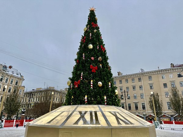 Рождественский Санкт-Петербург. Автобусная экскурсия - фото 4