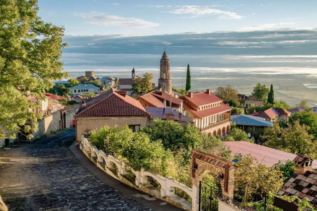 Фото экскурсии - Велисцихе: история кахетинского виноделия с винным музеем Numisi - 7